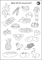 Food & Drink Activity Sheet